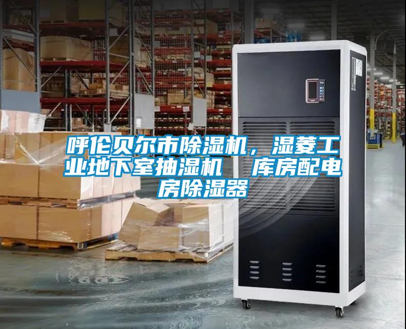 呼倫貝爾市除濕機，濕菱工業(yè)地下室抽濕機  庫房配電房除濕器
