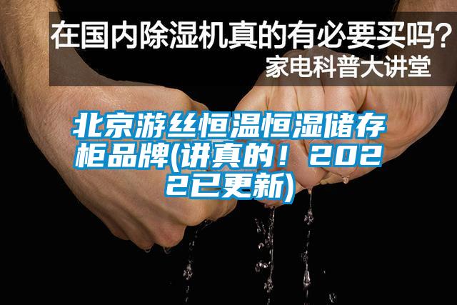 北京游絲恒溫恒濕儲存柜品牌(講真的！2022已更新)