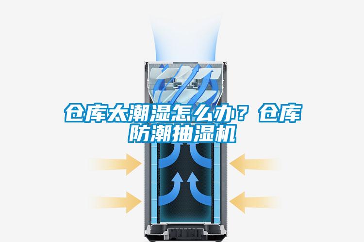 倉庫太潮濕怎么辦？倉庫防潮抽濕機(jī)