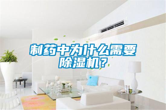 制藥中為什么需要除濕機？