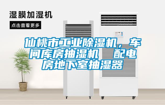 仙桃市工業(yè)除濕機(jī)，車間庫房抽濕機(jī)  配電房地下室抽濕器