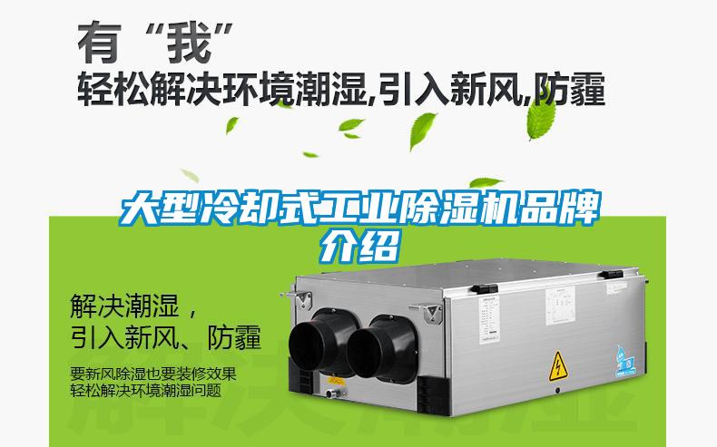 大型冷卻式工業(yè)除濕機(jī)品牌介紹