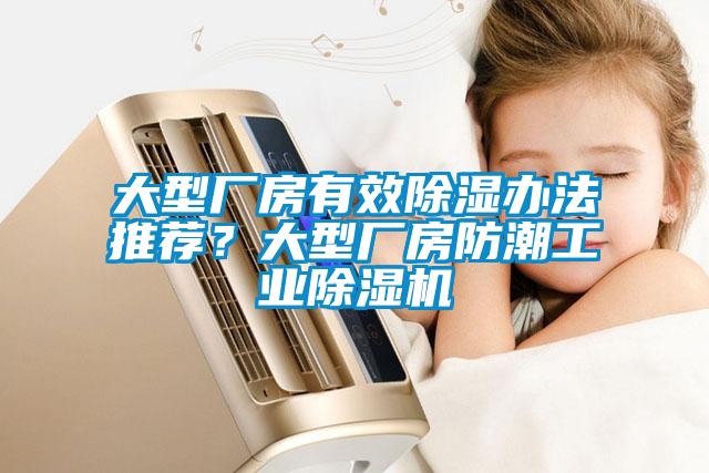 大型廠房有效除濕辦法推薦？大型廠房防潮工業(yè)除濕機(jī)
