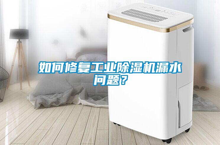 如何修復(fù)工業(yè)除濕機(jī)漏水問題？