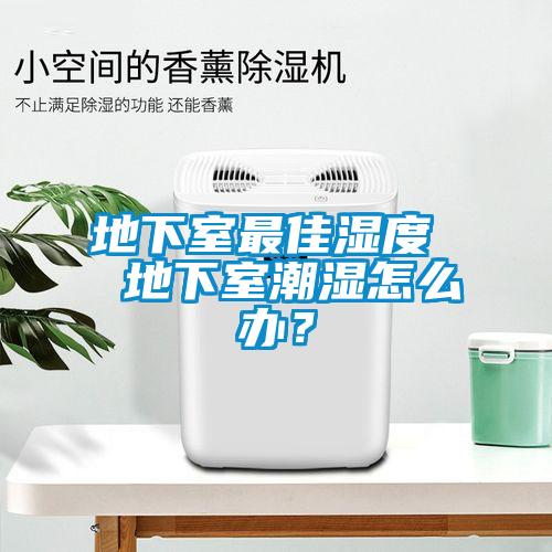 地下室最佳濕度  地下室潮濕怎么辦？