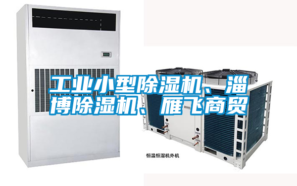 工業(yè)小型除濕機、淄博除濕機、雁飛商貿