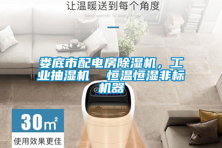 婁底市配電房除濕機，工業(yè)抽濕機  恒溫恒濕非標機器