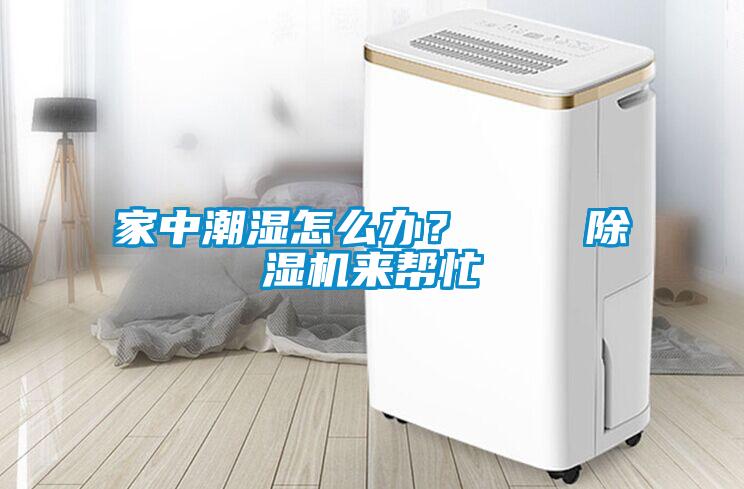 家中潮濕怎么辦？    除濕機來幫忙