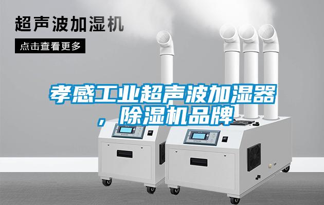 孝感工業(yè)超聲波加濕器，除濕機(jī)品牌