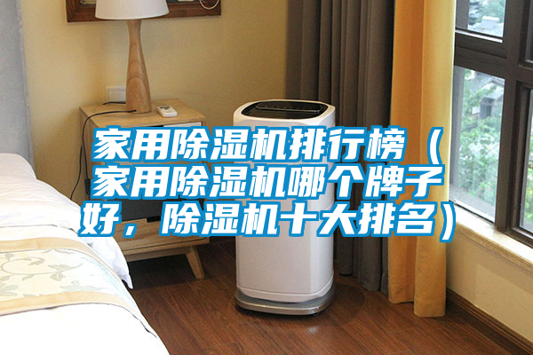 家用除濕機(jī)排行榜（家用除濕機(jī)哪個(gè)牌子好，除濕機(jī)十大排名）