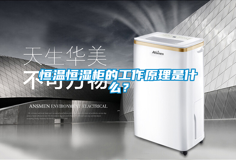 恒溫恒濕柜的工作原理是什么？