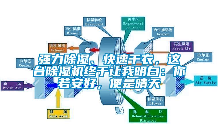 強力除濕、快速干衣，這臺除濕機終于讓我明白：你若安好，便是晴天