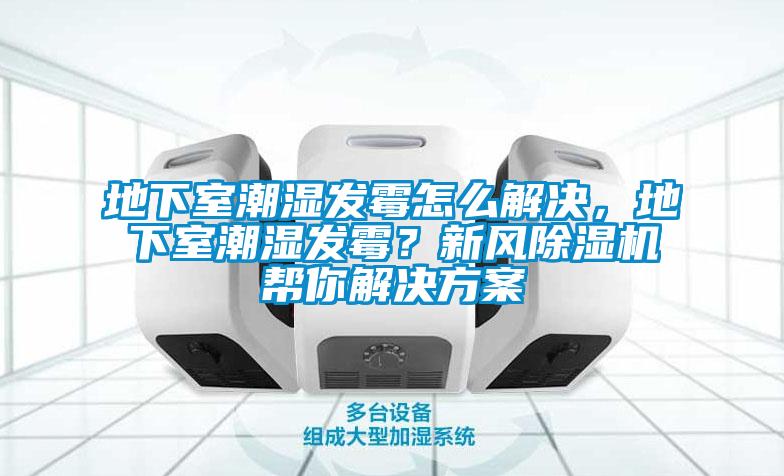 地下室潮濕發(fā)霉怎么解決，地下室潮濕發(fā)霉？新風(fēng)除濕機幫你解決方案