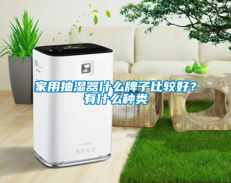 家用抽濕器什么牌子比較好？有什么種類