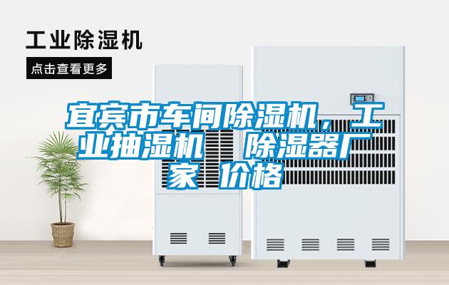 宜賓市車間除濕機，工業(yè)抽濕機  除濕器廠家 價格