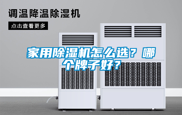 家用除濕機(jī)怎么選？哪個(gè)牌子好？