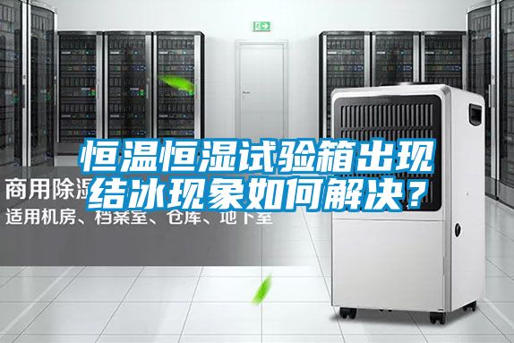 恒溫恒濕試驗箱出現結冰現象如何解決？