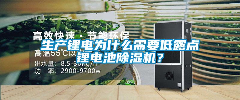 生產(chǎn)鋰電為什么需要低露點鋰電池除濕機？