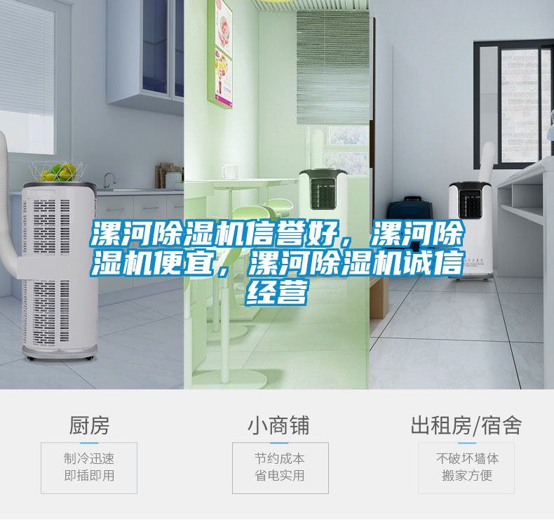 漯河除濕機(jī)信譽(yù)好，漯河除濕機(jī)便宜，漯河除濕機(jī)誠(chéng)信經(jīng)營(yíng)