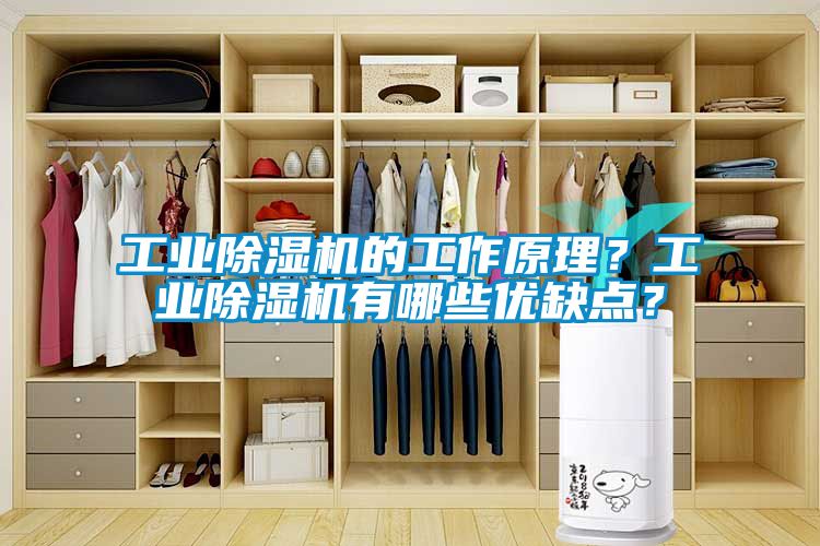 工業(yè)除濕機的工作原理？工業(yè)除濕機有哪些優(yōu)缺點？