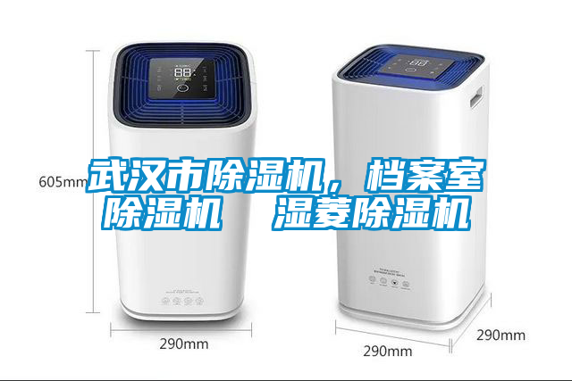 武漢市除濕機(jī)，檔案室除濕機(jī)  濕菱除濕機(jī)