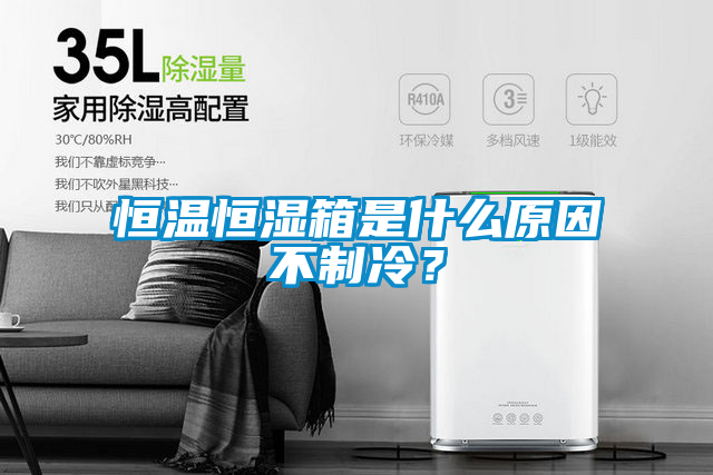 恒溫恒濕箱是什么原因不制冷？