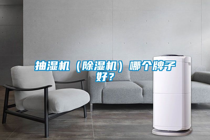 抽濕機（除濕機）哪個牌子好？