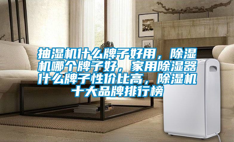 抽濕機(jī)什么牌子好用，除濕機(jī)哪個(gè)牌子好，家用除濕器什么牌子性價(jià)比高，除濕機(jī)十大品牌排行榜