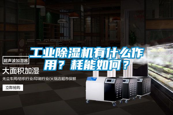 工業(yè)除濕機(jī)有什么作用？耗能如何？