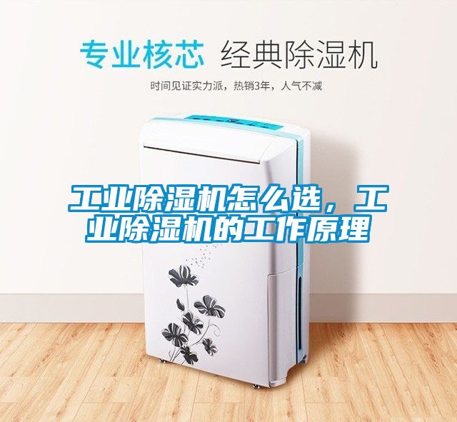 工業(yè)除濕機怎么選，工業(yè)除濕機的工作原理
