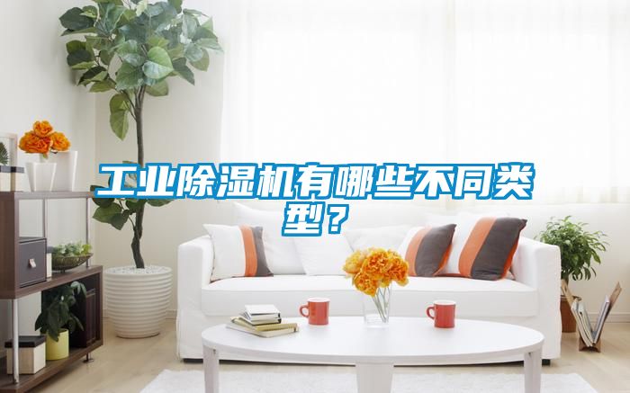 工業(yè)除濕機有哪些不同類型？