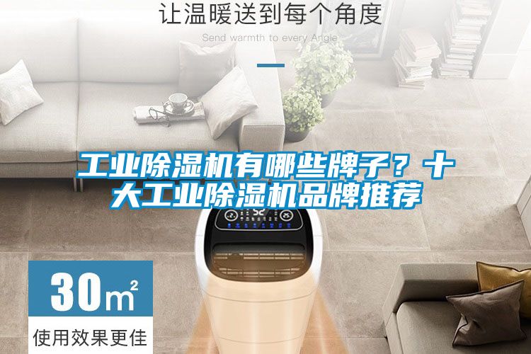 工業(yè)除濕機(jī)有哪些牌子？十大工業(yè)除濕機(jī)品牌推薦