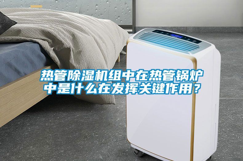 熱管除濕機組中在熱管鍋爐中是什么在發(fā)揮關鍵作用？