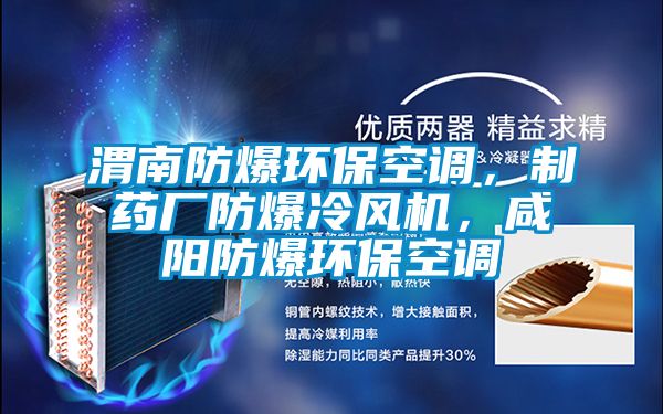 渭南防爆環(huán)?？照{(diào)，制藥廠防爆冷風(fēng)機(jī)，咸陽防爆環(huán)?？照{(diào)