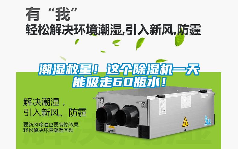 潮濕救星！這個除濕機(jī)一天能吸走60瓶水！