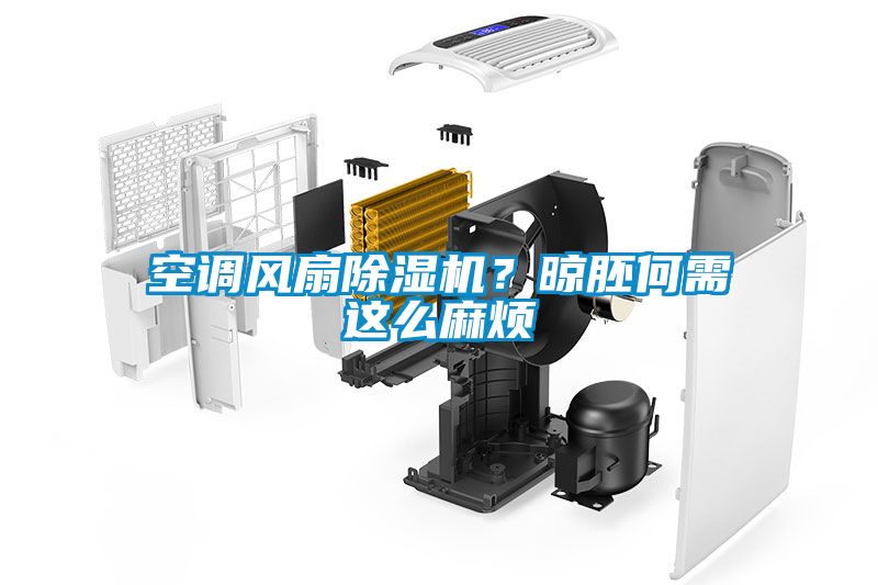空調風扇除濕機？晾胚何需這么麻煩
