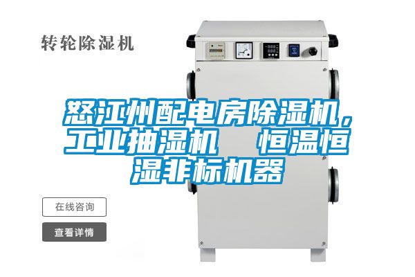 怒江州配電房除濕機(jī)，工業(yè)抽濕機(jī)  恒溫恒濕非標(biāo)機(jī)器