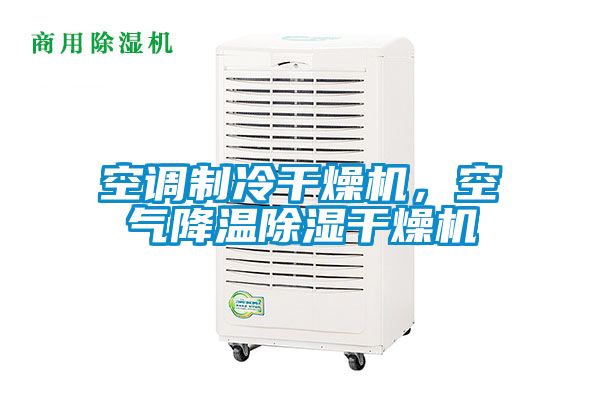 空調(diào)制冷干燥機(jī)，空氣降溫除濕干燥機(jī)