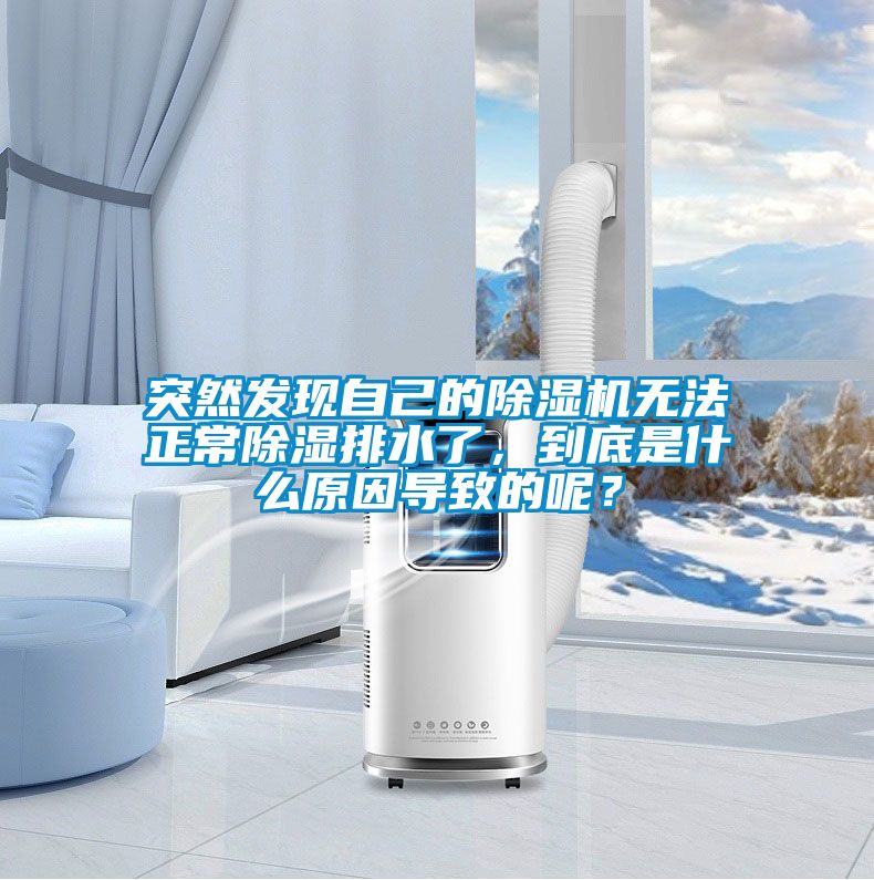 突然發(fā)現(xiàn)自己的除濕機(jī)無法正常除濕排水了，到底是什么原因?qū)е碌哪兀?/></p>
						    <p style=