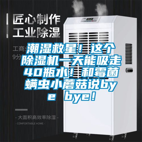 潮濕救星！這個除濕機一天能吸走40瓶水！和霉菌螨蟲小蘑菇說bye bye！
