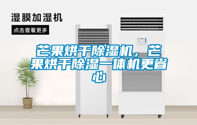 芒果烘干除濕機(jī)，芒果烘干除濕一體機(jī)更省心