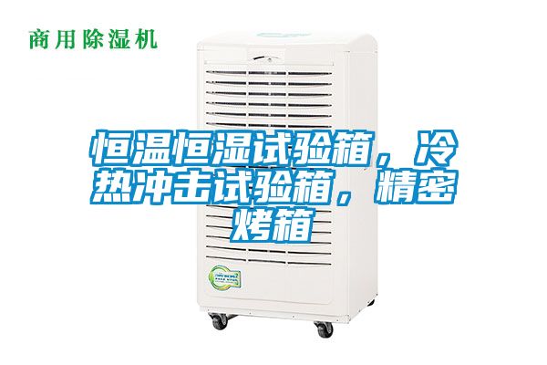 恒溫恒濕試驗箱，冷熱沖擊試驗箱，精密烤箱