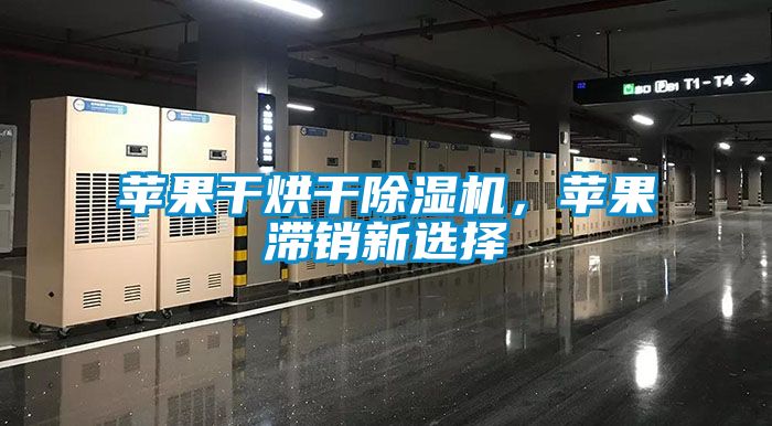 蘋(píng)果干烘干除濕機(jī)，蘋(píng)果滯銷新選擇