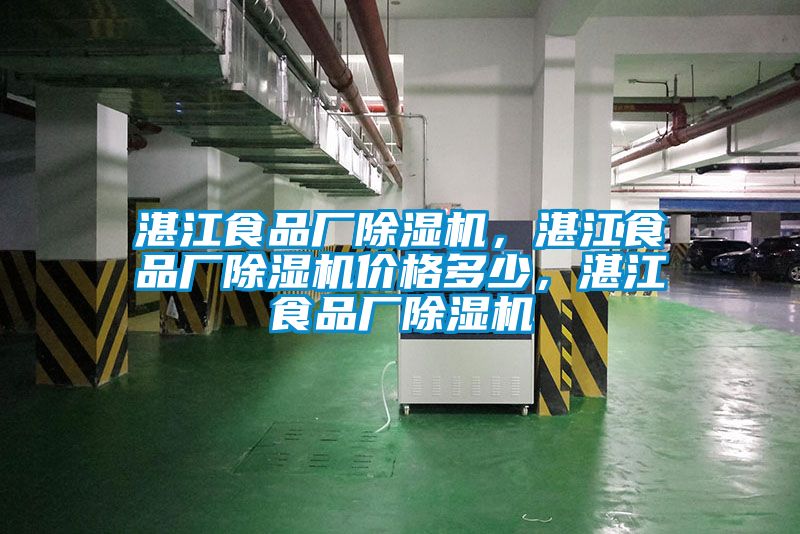 湛江食品廠除濕機(jī)，湛江食品廠除濕機(jī)價(jià)格多少，湛江食品廠除濕機(jī)