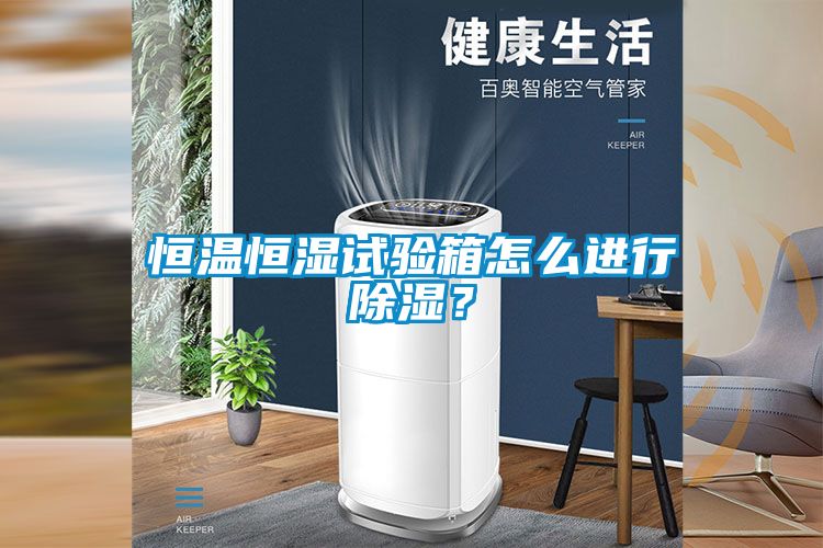 恒溫恒濕試驗(yàn)箱怎么進(jìn)行除濕？