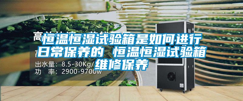 恒溫恒濕試驗箱是如何進行日常保養(yǎng)的 恒溫恒濕試驗箱維修保養(yǎng)