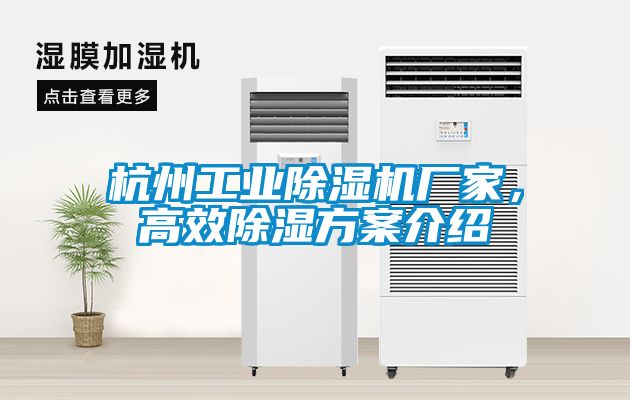 杭州工業(yè)除濕機(jī)廠家，高效除濕方案介紹