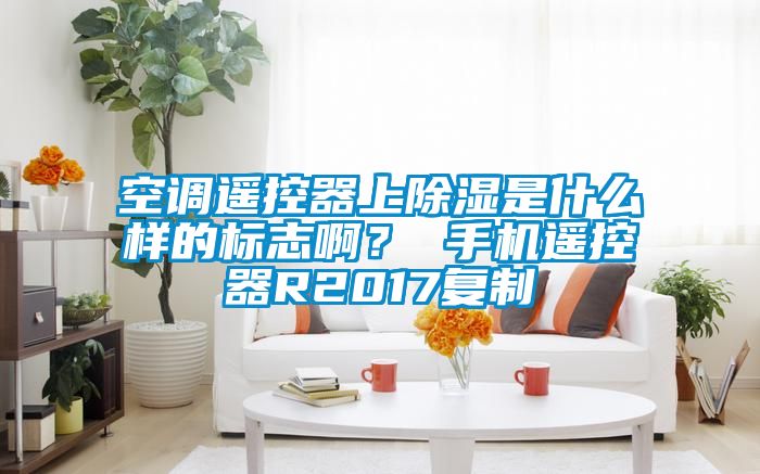 空調(diào)遙控器上除濕是什么樣的標(biāo)志??？ 手機(jī)遙控器R2017復(fù)制