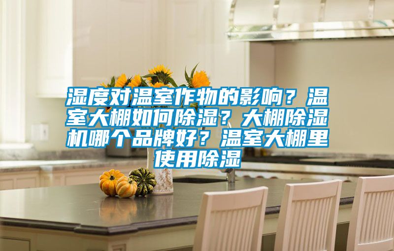 濕度對溫室作物的影響？溫室大棚如何除濕？大棚除濕機哪個品牌好？溫室大棚里使用除濕