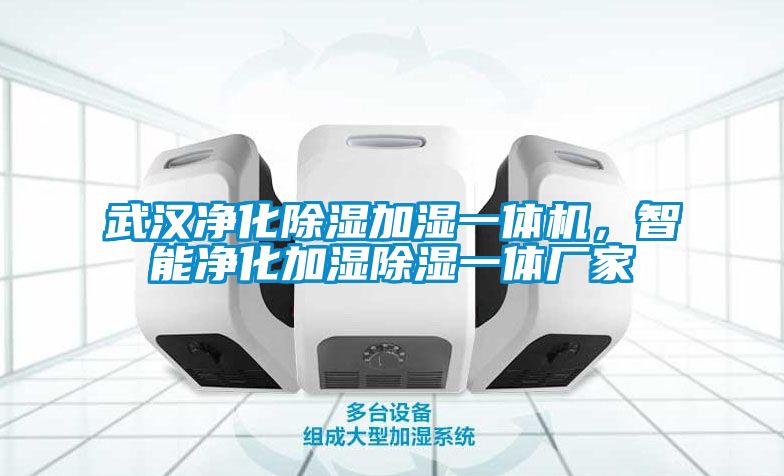 武漢凈化除濕加濕一體機，智能凈化加濕除濕一體廠家